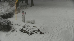 Běžecký lyžařský areál Nová Ves - horní část