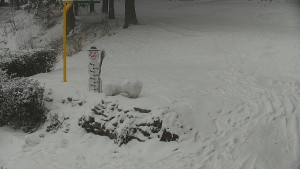 Chata Myslivna SKP Olomouc - Běžecký lyžařský areál Nová Ves - horní část - 16.2.2026 v 12:30 Chata Myslivna SKP Olomouc - Běžecký lyžařský areál Nová Ves - horní část - 16.2.2026 v 12:30