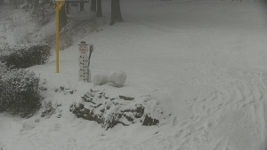 Chata Myslivna SKP Olomouc - Běžecký lyžařský areál Nová Ves - horní část - 16.2.2026 v 13:00 Chata Myslivna SKP Olomouc - Běžecký lyžařský areál Nová Ves - horní část - 16.2.2026 v 13:00