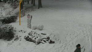 Chata Myslivna SKP Olomouc - Běžecký lyžařský areál Nová Ves - horní část - 16.2.2026 v 14:00 Chata Myslivna SKP Olomouc - Běžecký lyžařský areál Nová Ves - horní část - 16.2.2026 v 14:00
