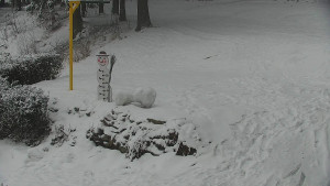 Chata Myslivna SKP Olomouc - Běžecký lyžařský areál Nová Ves - horní část - 16.2.2026 v 14:30 Chata Myslivna SKP Olomouc - Běžecký lyžařský areál Nová Ves - horní část - 16.2.2026 v 14:30