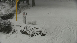 Běžecký lyžařský areál Nová Ves - horní část