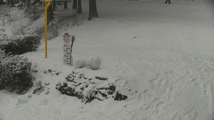 Chata Myslivna SKP Olomouc - Běžecký lyžařský areál Nová Ves - horní část - 16.2.2026 v 15:00 Chata Myslivna SKP Olomouc - Běžecký lyžařský areál Nová Ves - horní část - 16.2.2026 v 15:00