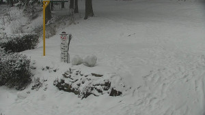 Chata Myslivna SKP Olomouc - Běžecký lyžařský areál Nová Ves - horní část - 16.2.2026 v 15:30 Chata Myslivna SKP Olomouc - Běžecký lyžařský areál Nová Ves - horní část - 16.2.2026 v 15:30