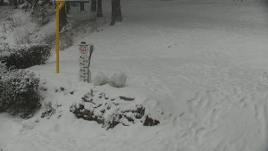 Chata Myslivna SKP Olomouc - Běžecký lyžařský areál Nová Ves - horní část - 16.2.2026 v 16:00 Chata Myslivna SKP Olomouc - Běžecký lyžařský areál Nová Ves - horní část - 16.2.2026 v 16:00