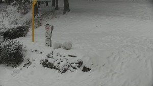 Chata Myslivna SKP Olomouc - Běžecký lyžařský areál Nová Ves - horní část - 16.2.2026 v 16:30 Chata Myslivna SKP Olomouc - Běžecký lyžařský areál Nová Ves - horní část - 16.2.2026 v 16:30