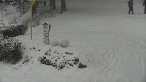 Chata Myslivna SKP Olomouc - Běžecký lyžařský areál Nová Ves - horní část - 16.2.2026 v 17:00 Chata Myslivna SKP Olomouc - Běžecký lyžařský areál Nová Ves - horní část - 16.2.2026 v 17:00
