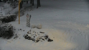 Chata Myslivna SKP Olomouc - Běžecký lyžařský areál Nová Ves - horní část - 16.2.2026 v 17:30 Chata Myslivna SKP Olomouc - Běžecký lyžařský areál Nová Ves - horní část - 16.2.2026 v 17:30