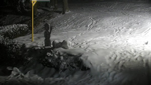 Chata Myslivna SKP Olomouc - Běžecký lyžařský areál Nová Ves - horní část - 16.2.2026 v 18:30 Chata Myslivna SKP Olomouc - Běžecký lyžařský areál Nová Ves - horní část - 16.2.2026 v 18:30