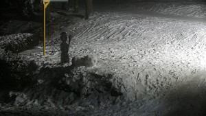 Chata Myslivna SKP Olomouc - Běžecký lyžařský areál Nová Ves - horní část - 16.2.2026 v 21:30 Chata Myslivna SKP Olomouc - Běžecký lyžařský areál Nová Ves - horní část - 16.2.2026 v 21:30