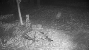 Chata Myslivna SKP Olomouc - Běžecký lyžařský areál Nová Ves - horní část - 16.2.2026 v 22:00 Chata Myslivna SKP Olomouc - Běžecký lyžařský areál Nová Ves - horní část - 16.2.2026 v 22:00