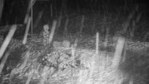 Chata Myslivna SKP Olomouc - Běžecký lyžařský areál Nová Ves - horní část - 16.2.2026 v 23:00 Chata Myslivna SKP Olomouc - Běžecký lyžařský areál Nová Ves - horní část - 16.2.2026 v 23:00