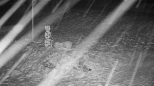 Chata Myslivna SKP Olomouc - Běžecký lyžařský areál Nová Ves - horní část - 16.2.2026 v 23:30 Chata Myslivna SKP Olomouc - Běžecký lyžařský areál Nová Ves - horní část - 16.2.2026 v 23:30