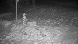 Běžecký lyžařský areál Nová Ves - horní část