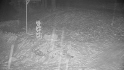 Běžecký lyžařský areál Nová Ves - horní část