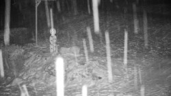 Běžecký lyžařský areál Nová Ves - horní část