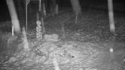 Běžecký lyžařský areál Nová Ves - horní část