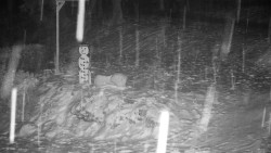 Běžecký lyžařský areál Nová Ves - horní část