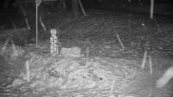 Běžecký lyžařský areál Nová Ves - horní část