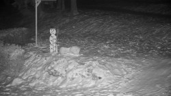 Běžecký lyžařský areál Nová Ves - horní část