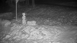 Běžecký lyžařský areál Nová Ves - horní část