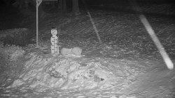 Běžecký lyžařský areál Nová Ves - horní část