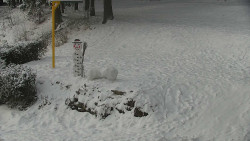 Běžecký lyžařský areál Nová Ves - horní část