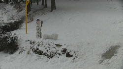 Běžecký lyžařský areál Nová Ves - horní část