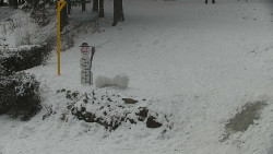 Běžecký lyžařský areál Nová Ves - horní část