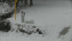 Běžecký lyžařský areál Nová Ves - horní část