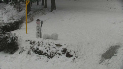 Běžecký lyžařský areál Nová Ves - horní část