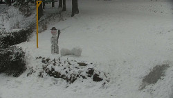 Běžecký lyžařský areál Nová Ves - horní část