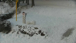 Běžecký lyžařský areál Nová Ves - horní část