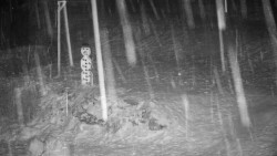 Běžecký lyžařský areál Nová Ves - horní část