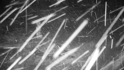 Běžecký lyžařský areál Nová Ves - horní část