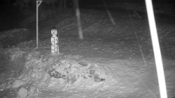 Běžecký lyžařský areál Nová Ves - horní část