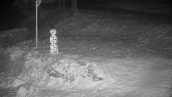 Běžecký lyžařský areál Nová Ves - horní část