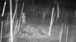 Běžecký lyžařský areál Nová Ves - horní část