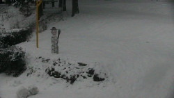 Běžecký lyžařský areál Nová Ves - horní část