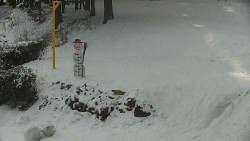 Běžecký lyžařský areál Nová Ves - horní část