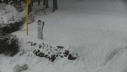 Běžecký lyžařský areál Nová Ves - horní část