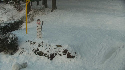 Běžecký lyžařský areál Nová Ves - horní část