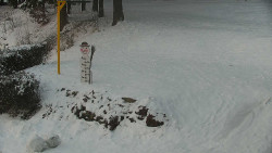 Běžecký lyžařský areál Nová Ves - horní část