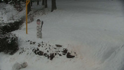 Běžecký lyžařský areál Nová Ves - horní část