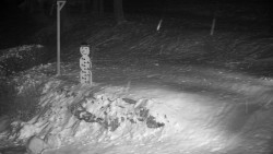 Běžecký lyžařský areál Nová Ves - horní část