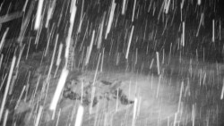 Běžecký lyžařský areál Nová Ves - horní část