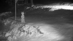 Běžecký lyžařský areál Nová Ves - horní část