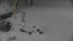 Běžecký lyžařský areál Nová Ves - horní část