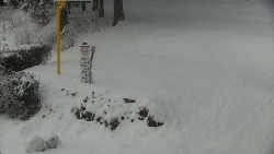 Běžecký lyžařský areál Nová Ves - horní část