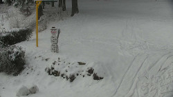 Běžecký lyžařský areál Nová Ves - horní část